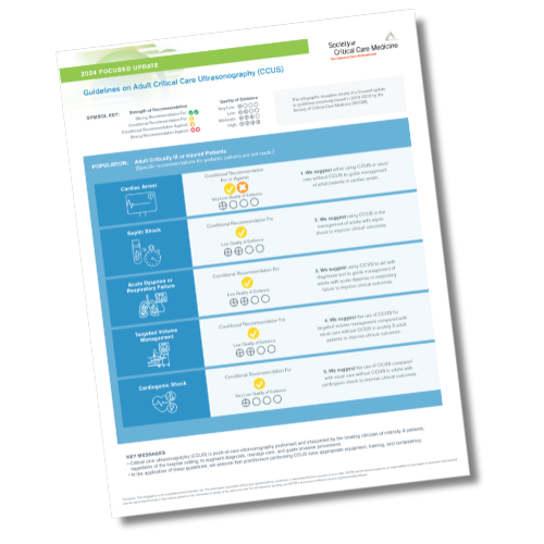 Guidelines on Adult Critical Care Ultrasonography: Focused Update 2024