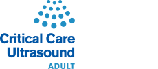 Critical Care Ultrasound: Adult (Chicago)